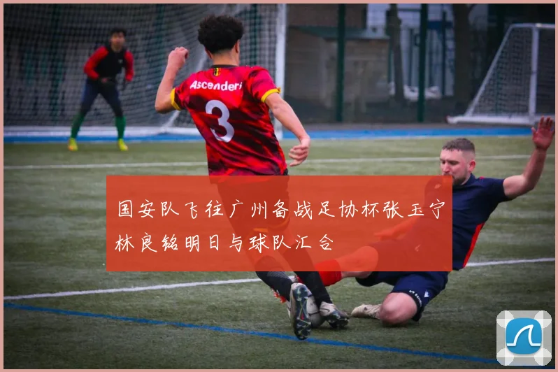 国安队飞往广州备战足协杯张玉宁林良铭明日与球队汇合